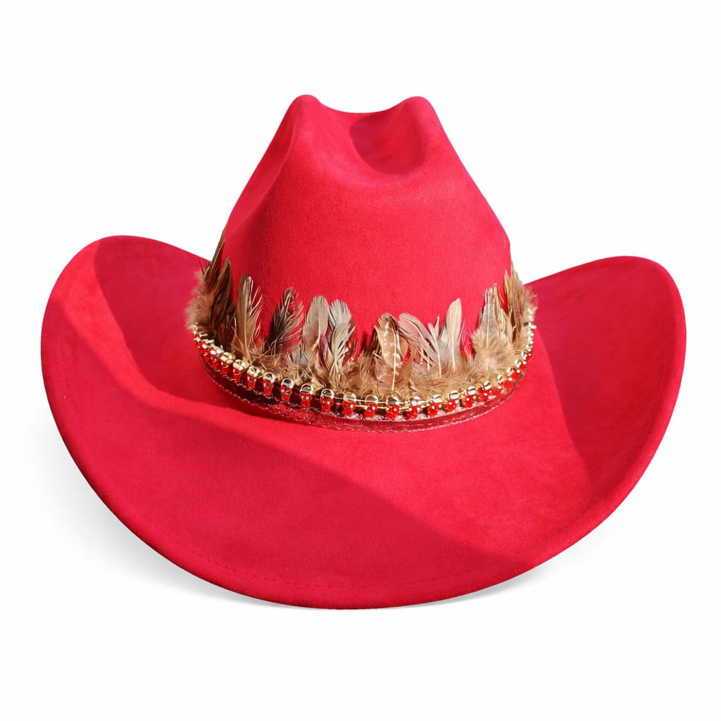 Chapeau Cowboy Feutré – Bande Plumes Décoratives